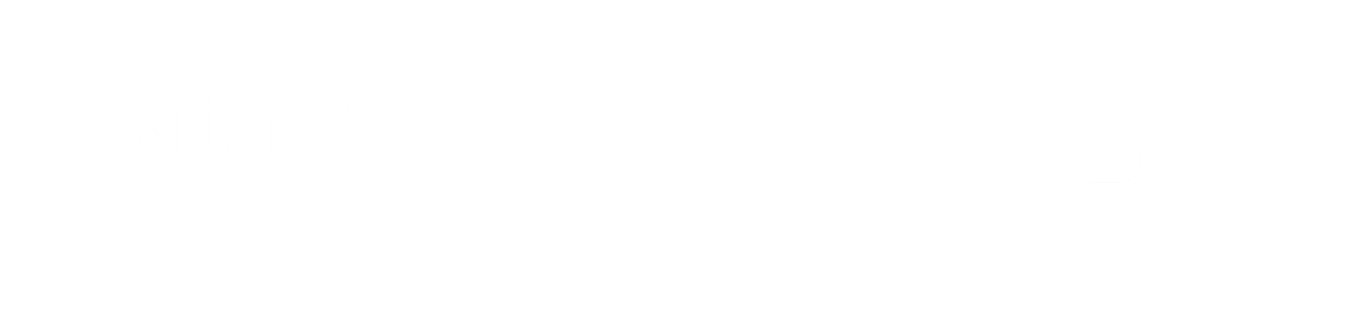 VTB Bank Partner
