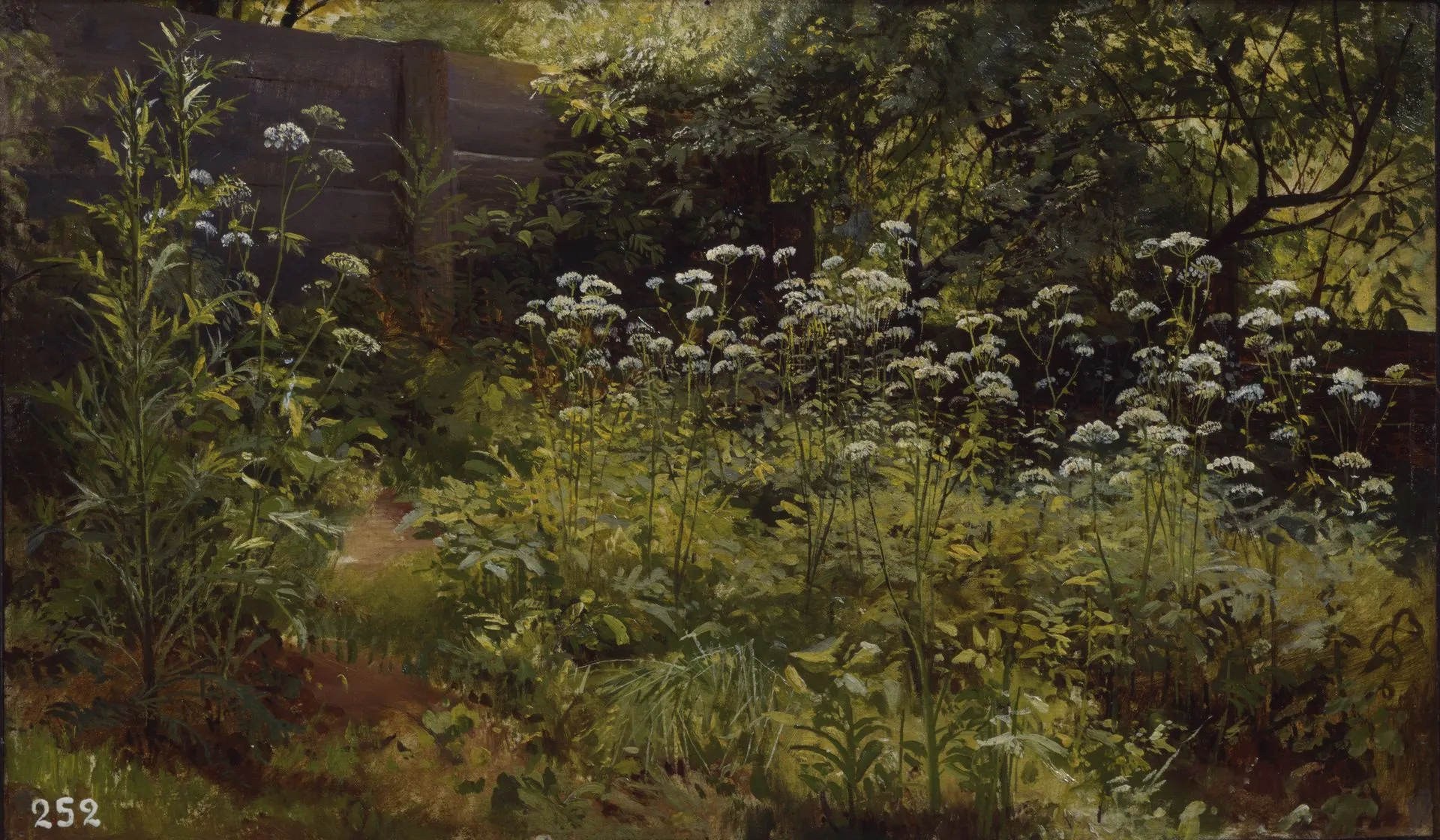 Ivan Shishkin. Goutweed. Pargolovo. 1884 (1885?). Oil on canvas mounted on cardboard