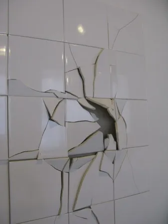 Petr Shvetsov. Tile. Installation. The sizes vary
