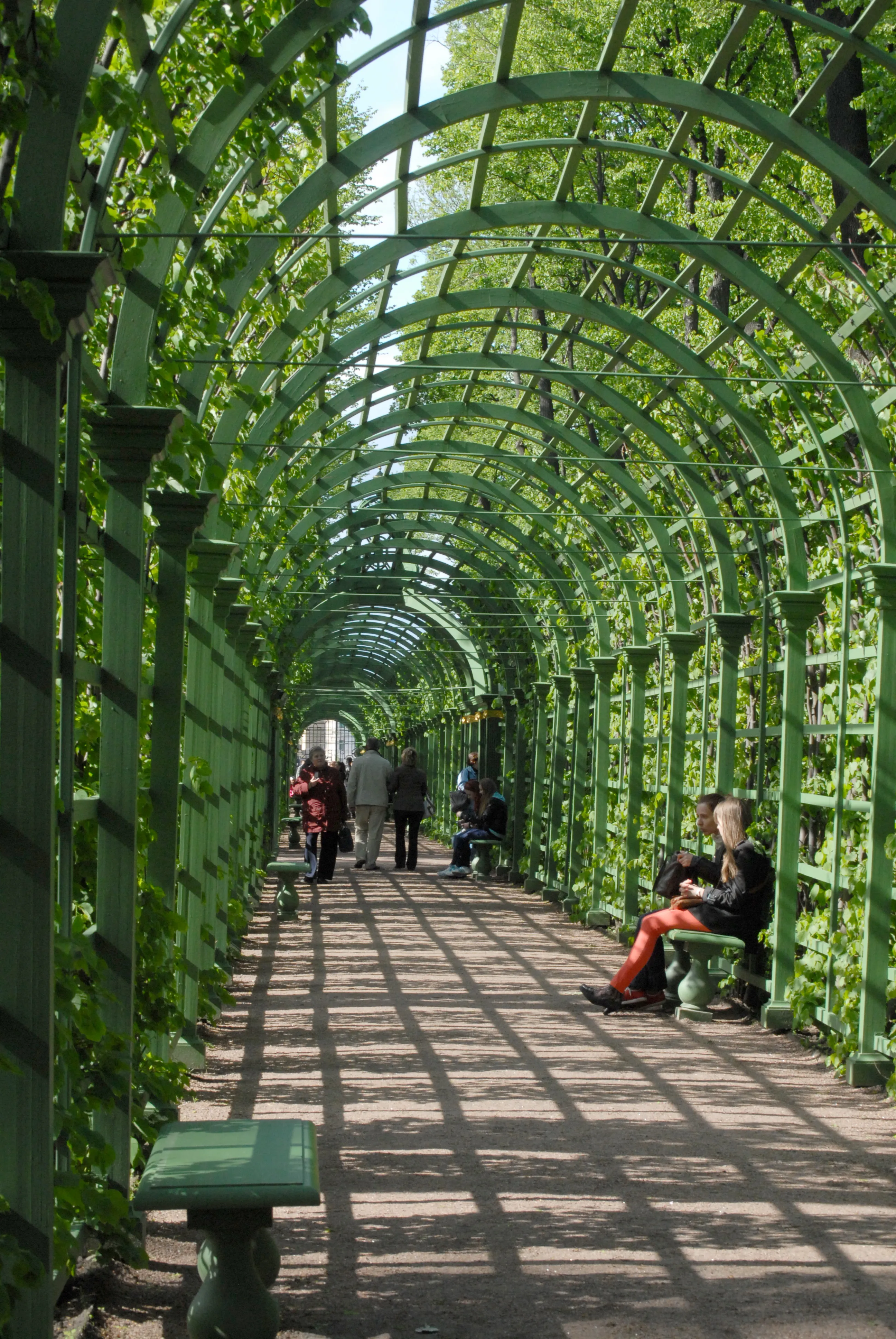 Summer Garden